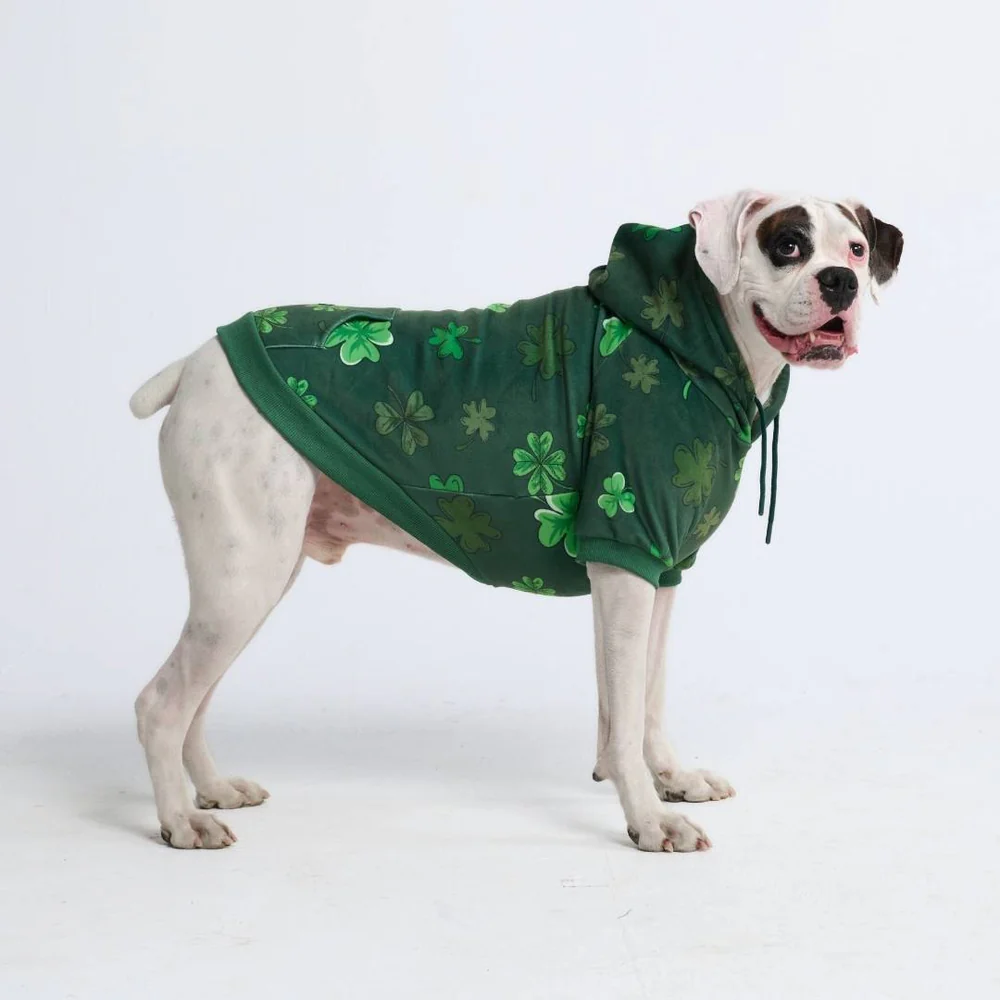St. Paddy’s Dog Hoodie