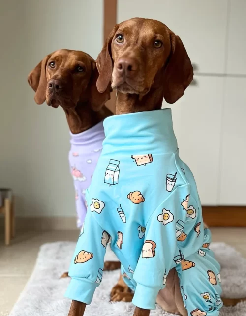 Foodie Turtle Neck