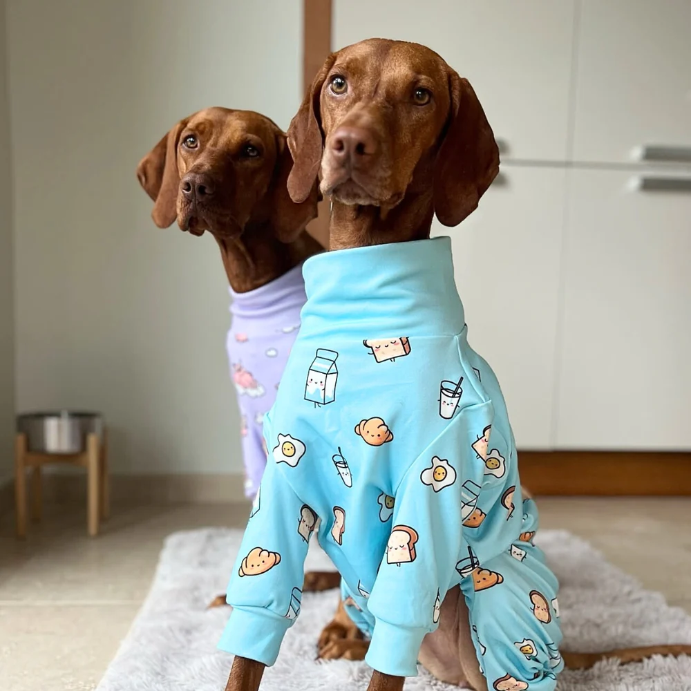 Foodie Dog Pyjamas
