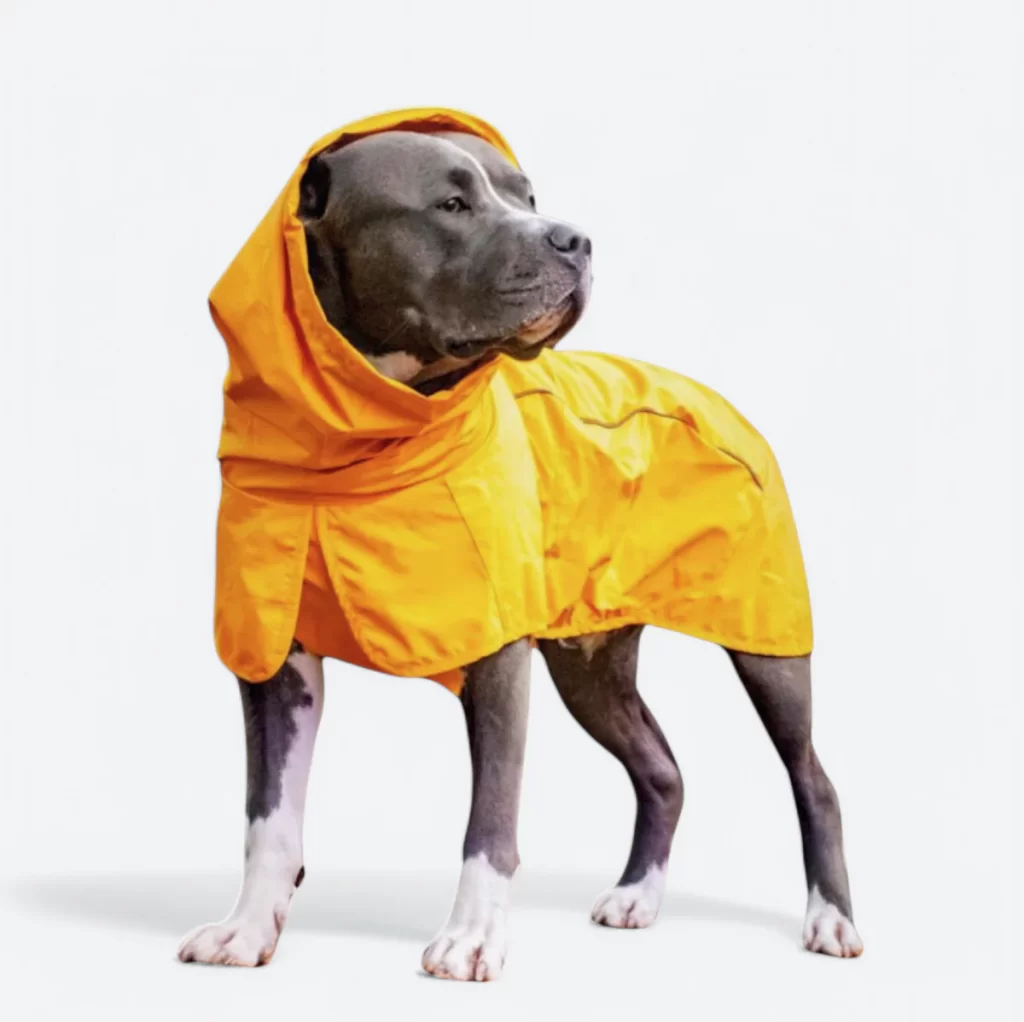 Yellow Dog Raincoat